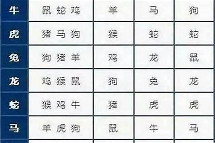 鸡狗断头婚一年不到是真的吗属鸡和属狗的婚配？