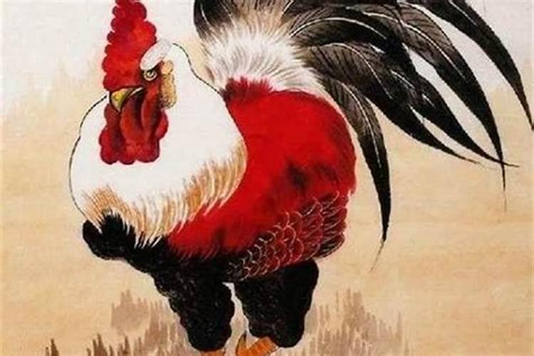 农历12月出生属鸡人命好吗