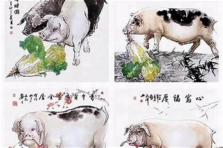 82年的狗男有二婚命吗,七一年的猪男命与八二年的狗女命婚配好吗？