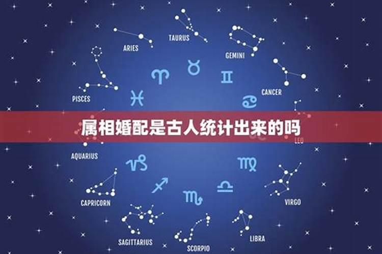 结婚属相很重要吗