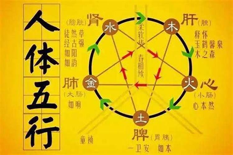 五运六气是什么意思