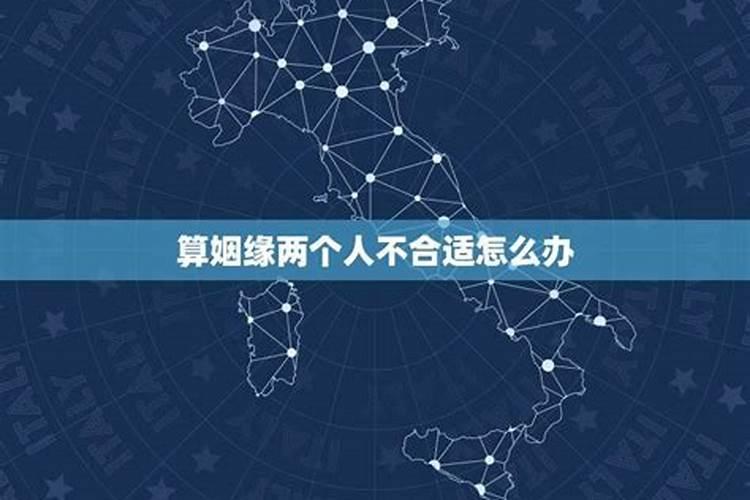 清明节买什么花好？分别代表什么意思