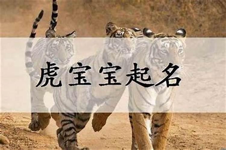 2010年属虎正月十五晚上八点半出生的男孩取什么名字好
