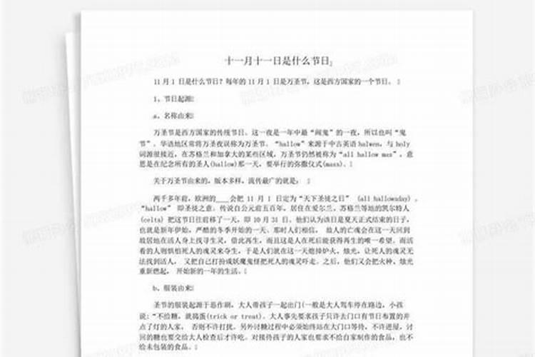 十一月11号是什么日子