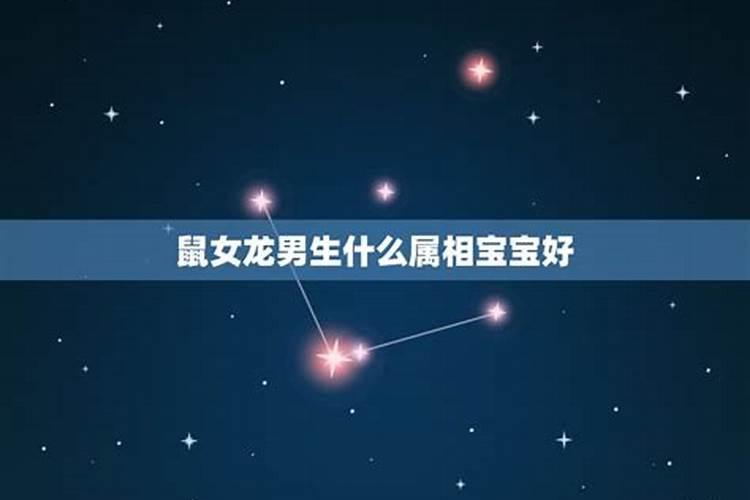 男属鼠女属龙合适吗