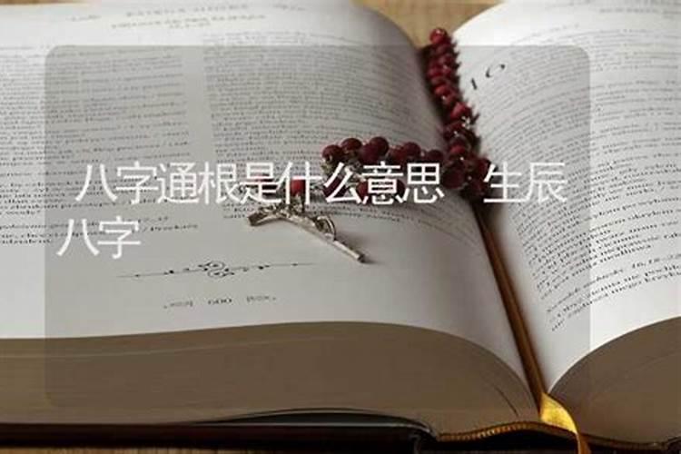 属猪的和属羊的婚姻与命运