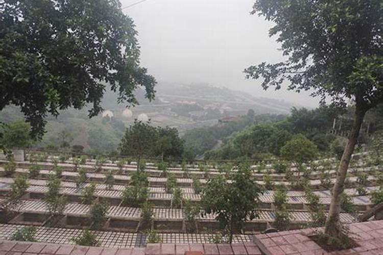 本命年忌讳什么