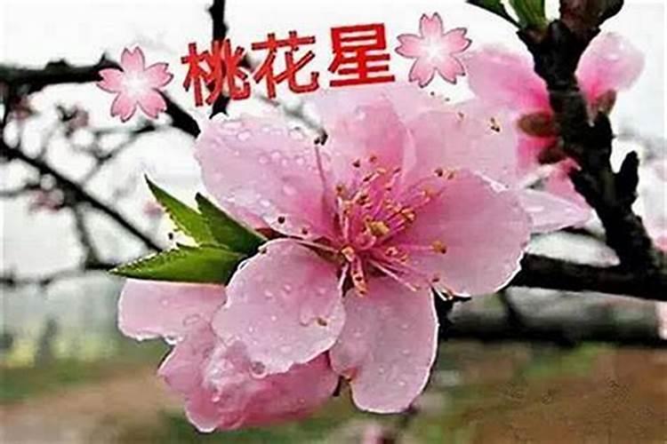 八字合婚看哪些人容易遭遇婚姻出轨？