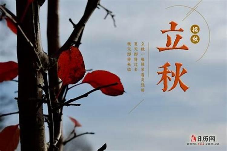 今年立秋什么时候几点几分