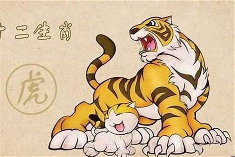 婚姻再合是什么意思