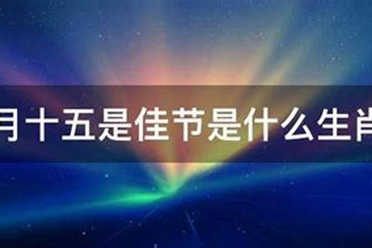 八月十五代表属生肖什么最好