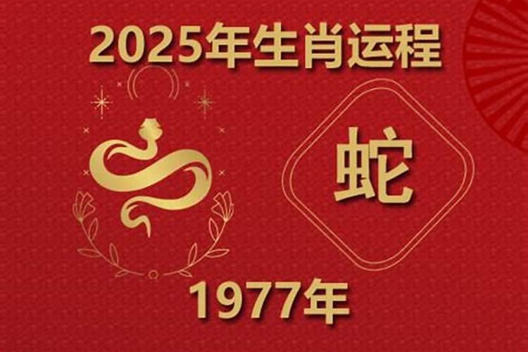 1977蛇女2025年运势完整版