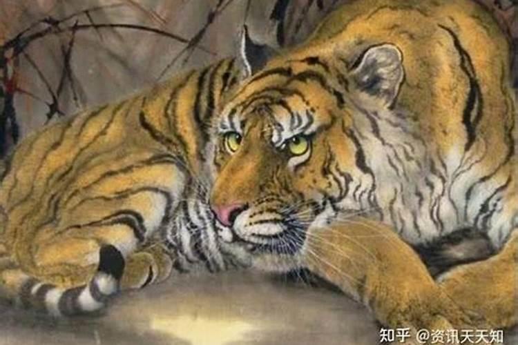 梦见狗追着咬我没咬着