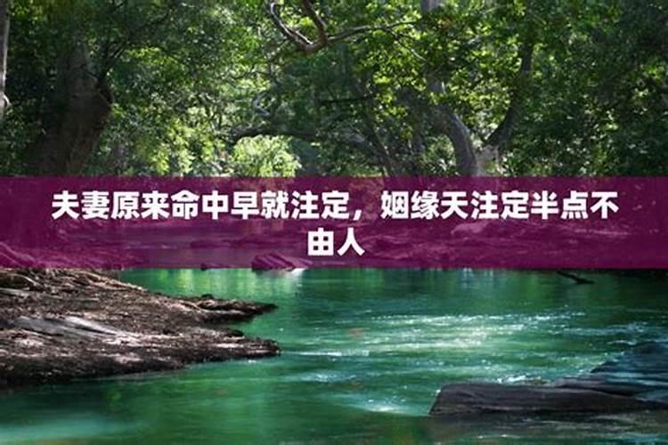 女狗与男狗属相婚配,属狗女与属狗男相配吗