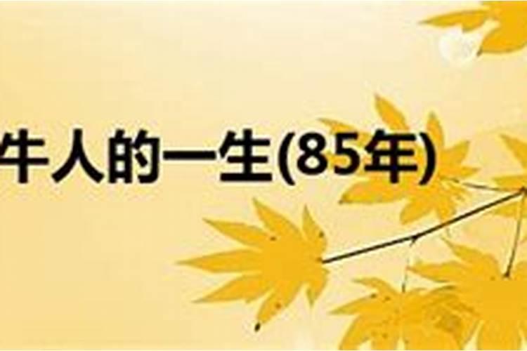 冲太岁、刑太岁、害太岁、破太岁、怎么回事？
