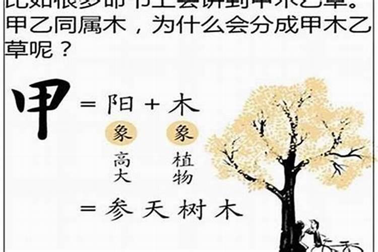十年大运冲夫妻宫会不会有灾 婚姻宫相冲的说法？
