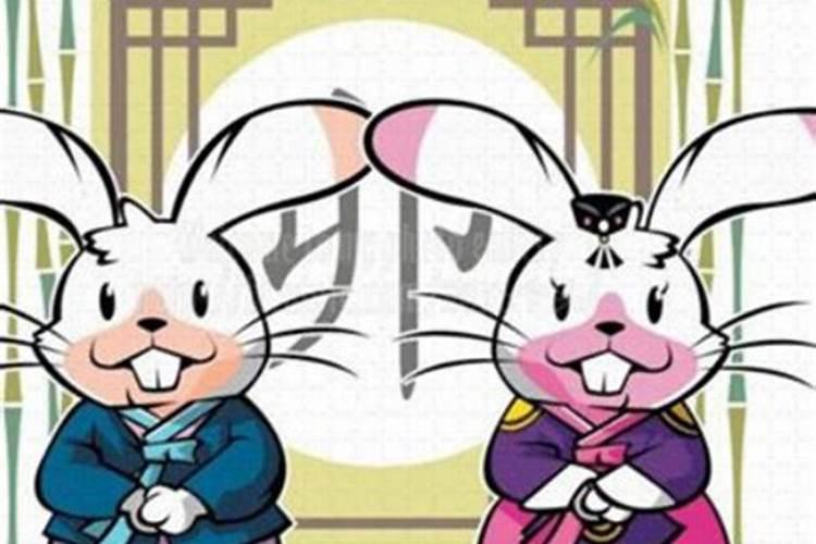 属兔和属猴的合不合 属兔的与属猴的八字合婚怎么样