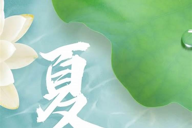 夏至的由来是什么