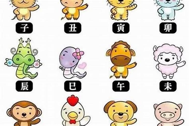 风水最旺的租房布局是什么