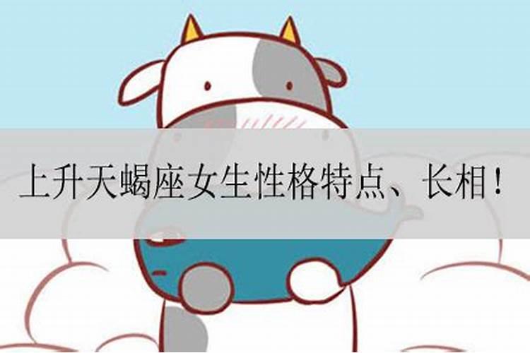 请高人帮忙解卦!梅花易数,山雷颐三爻动变山火贲,求测感情!