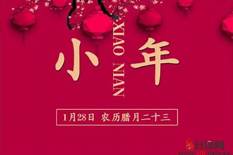 小年扎小马怎么做
