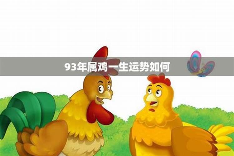 1993年属鸡男一生命运