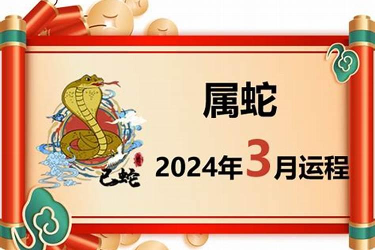 属蛇2024的全年运势(属蛇2024年运势及运程每月运程)