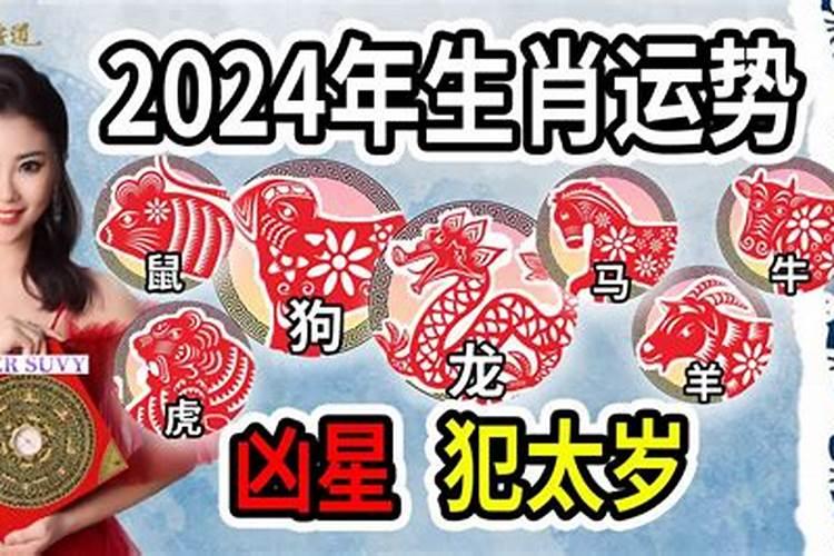 属鼠犯太岁的年份