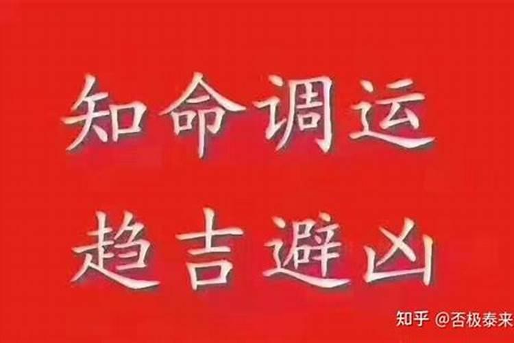 挖到太岁怎么办