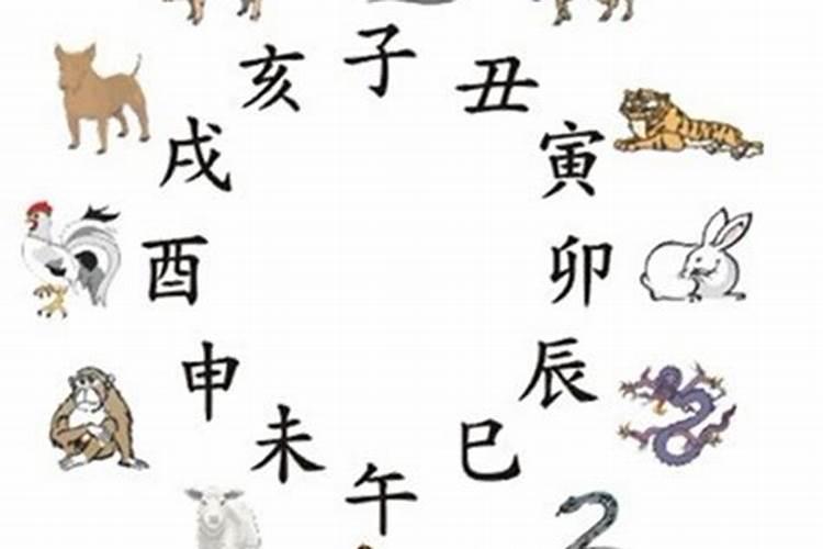2025年属兔适合生宝宝吗？