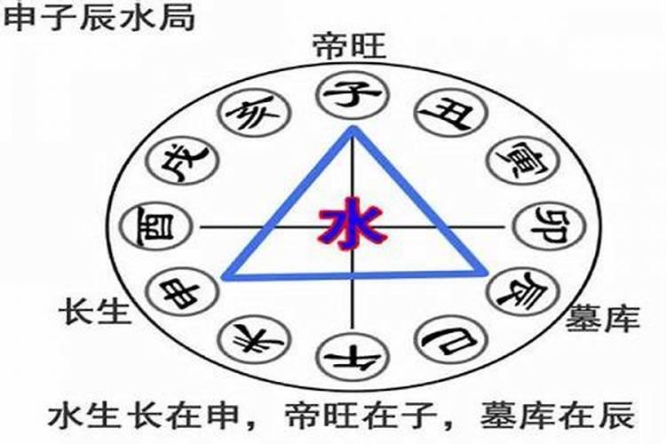 2025年属兔什么属性