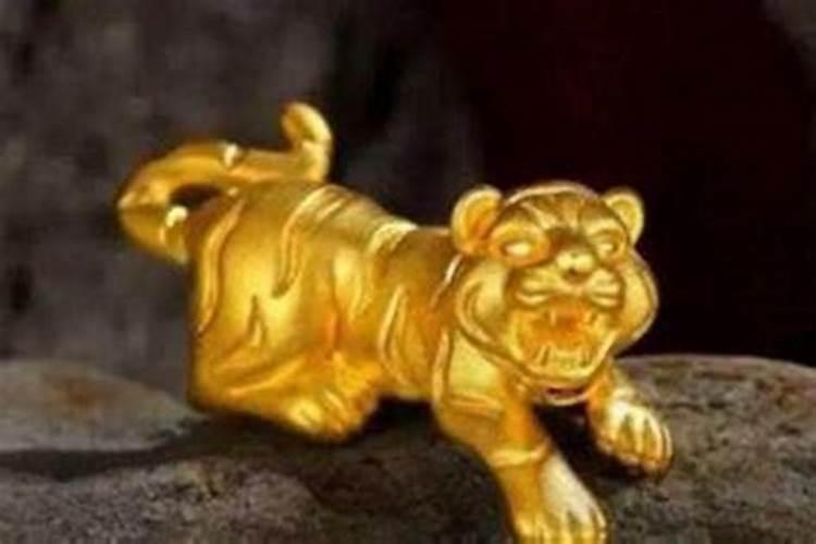 属虎不能带黄金是什么意思