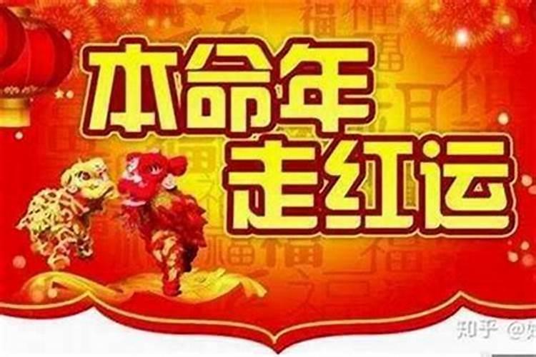 属虎的人2025年的运势及运程
