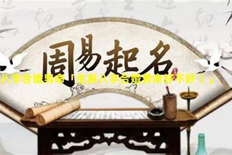 八字合婚怎么看合几个字 八字合五字注定良配？