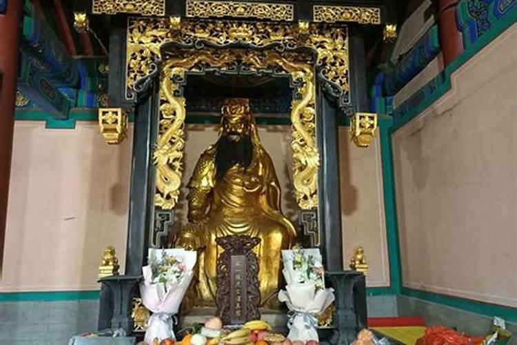 农历6月出生属鼠人命好吗