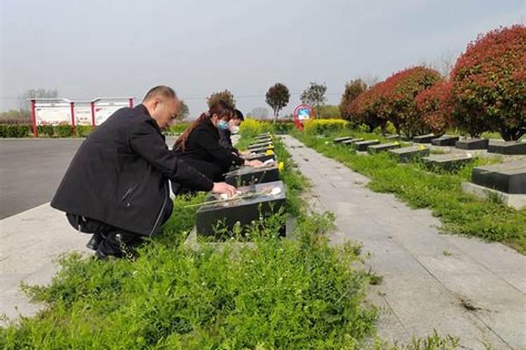 残联节假日放假吗清明节放假吗