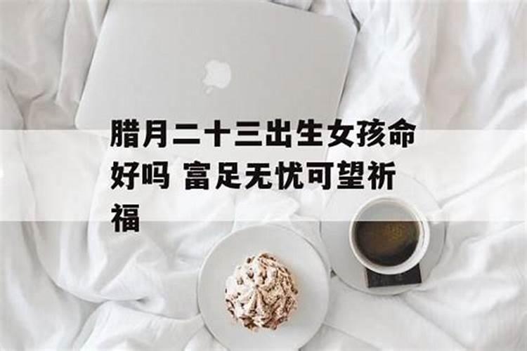农历九零年腊月十一日寅时出生命理如何？