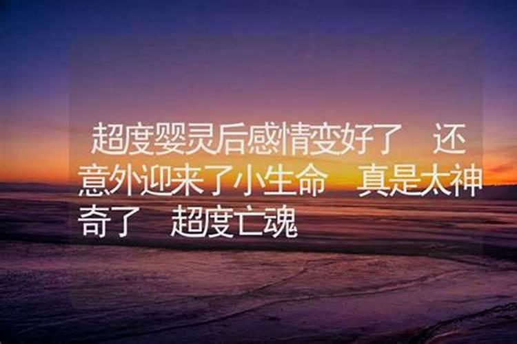 属蛇2025年全年运势