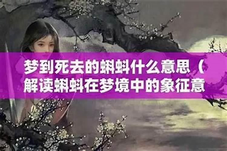 梦见有人杀马的吉凶