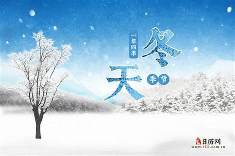 属羊人2025年每月运势及运程详解