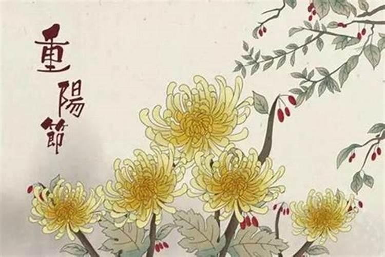 重阳节的活动包括哪些