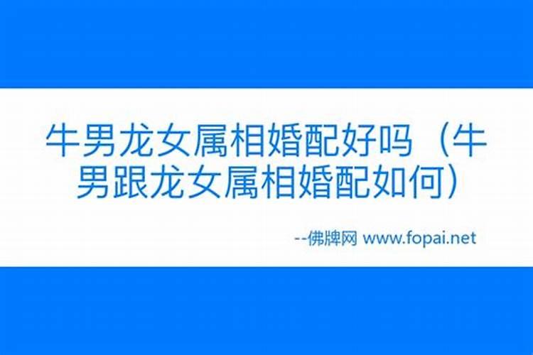为什么属龙人的有二婚命 怎么促进婚姻运