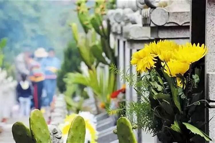 违反规定上山扫墓引起火灾需要承担哪些法律责任？