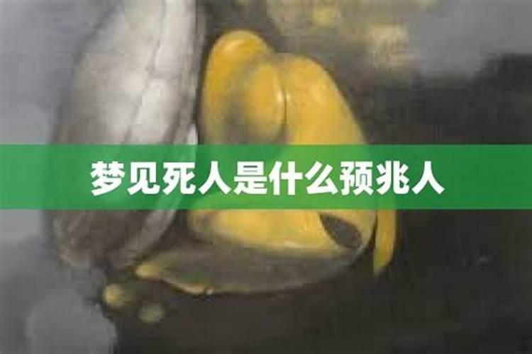 梦见死人臭的预兆