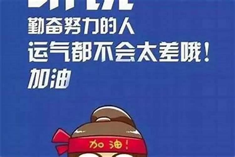 怀孕可以坐车出远门吗
