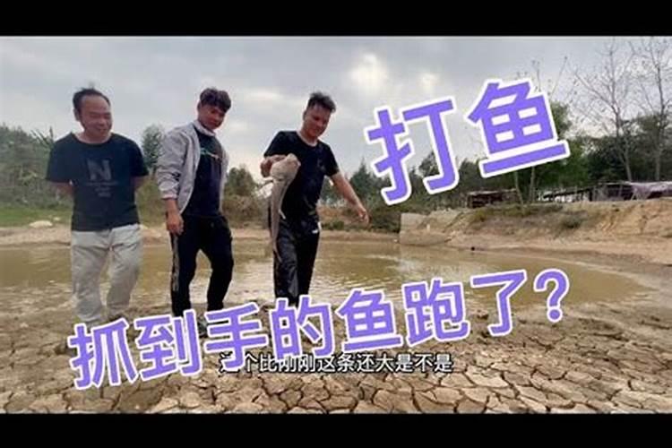 85年牛2025年运势及运程