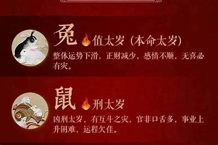 猪犯太岁戴什么最旺