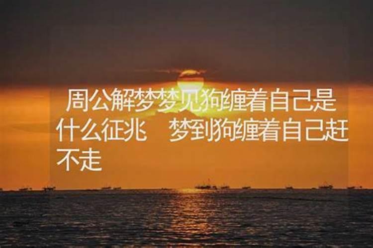 爱新觉罗宗谱中记载的最后一代？