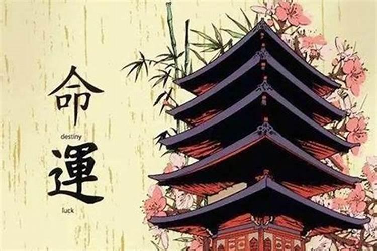 2025犯太岁的4大生肖有哪些