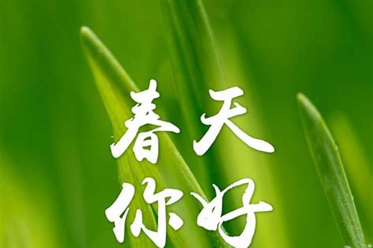 今年两个立春的时间 2023年两个立春时间
